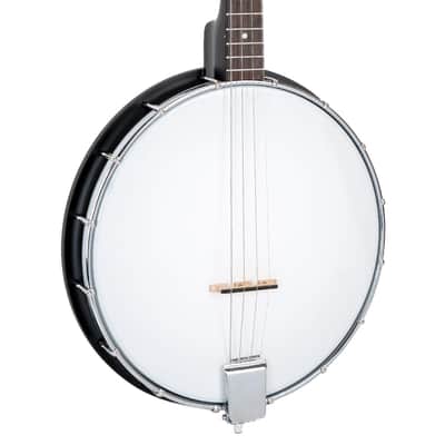 Gold Tone AC-4IT Acoustic Composite Nato Neck 4-String Openback Irish Tenor Banjo w/Gig Bag image 1