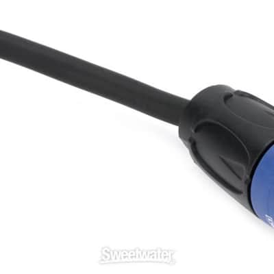 Gator Cableworks Composer Series Speaker Cable - 50 foot (S14TT50GCd1) image 2