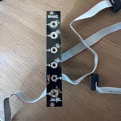 Make Noise Brains Sn# 102 Module black and gold eurorack image 1