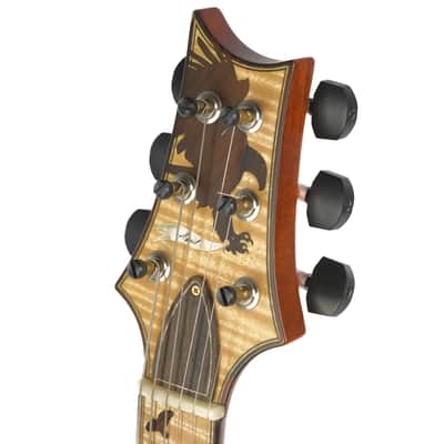 PRS Birds Of A Feather Private Stock Guitar Of The Month Owned by David Grissom image 7