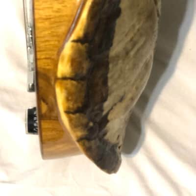 Turtle Shell Electric Guitar image 11