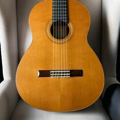 Fratelli Lodi Cedar Brazilian Rosewood Classical image 3
