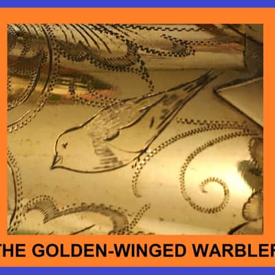 MARTIN 1930 GOLD PLATED PORTRAIT " THE GOLDEN-WINGED WARBLER " MASTER TYPEWRITER HANDCRAFT ALTO SAXOPHONE STUNNING LOVELY ENGRAVING & PLAYING WELL, ORG CASE , TECH SERVICED FREE SHIP image 13