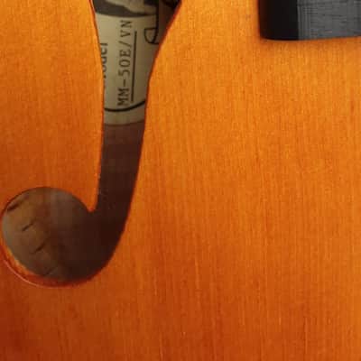 Epiphone MM-50E Professional Mandolin 2010s - Vintage Natural image 19