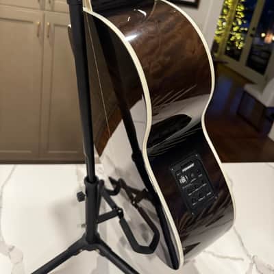 Michael Kelly 5 string Fretless Bass image 16