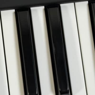 Immagine Waldorf STVC String Synthesizer / Vocoder - 7