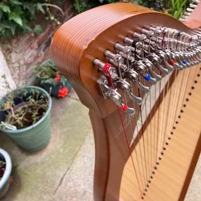 Camac 34 string harp image 2