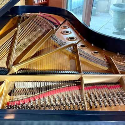 Steinway B - Bob Dylan and Celebrity Owned image 6