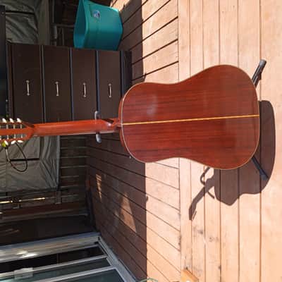 Martin D12-20 1969 Natural image 8
