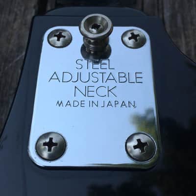 Epiphone SC Scroll Bass image 6