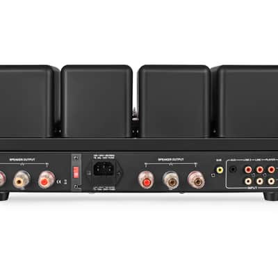 Dared Push-Pull Integrated Vacuum Tube Amplifier Valve Amplifier DV-100, with Subwoofer Output, Output Power 45 Wattsx2, Tubes:4X 6L6G, 5X 12AX7 image 6