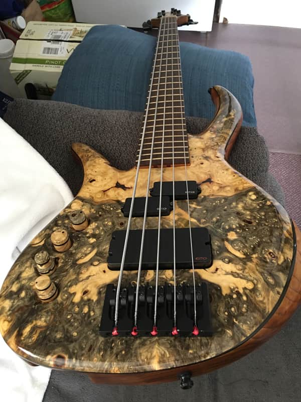 Prana custom bass PC-Buckeye burl 5str.  2014 Clear image 1