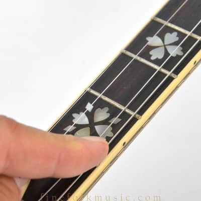 Tenor Banjo Aria Pro II 1970s image 12