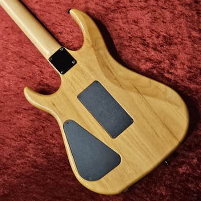 HAMER USA Diablo GDBS-B-N [GSB019] image 12