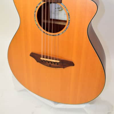 Breedlove AC250/SM-12 AC250SM 12-string Concert Acoustic Electric Guitar w/ Bag image 4