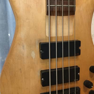 Spector Rebop 5-String Bass image 3