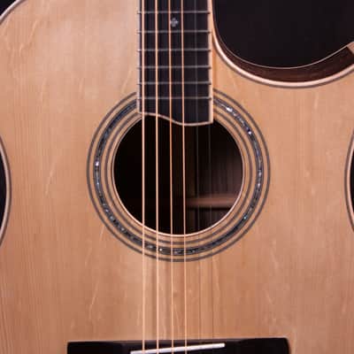 Custom Knight Solo Elite with Cutaway Acoustic Guitar image 13