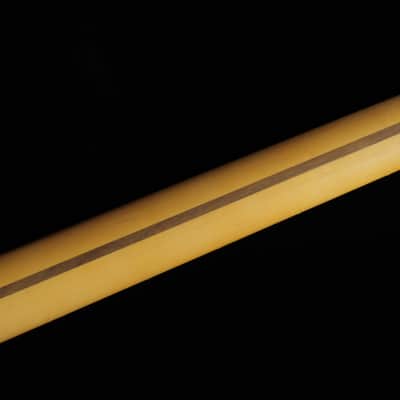 Fender American Professional II Stratocaster - RW DKN (#240) image 11