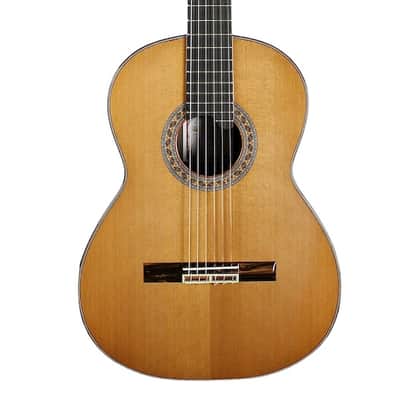 Prudencio Saez 40th Anniversary image 2