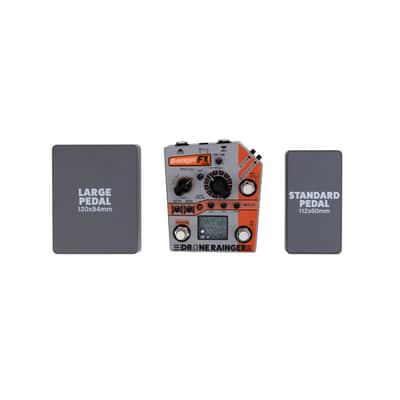 Rainger FX Drone Rainger - Digital Delay image 8