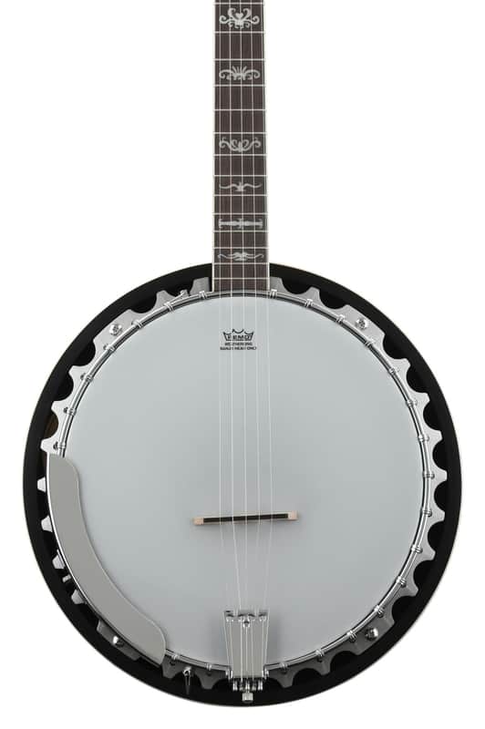 Washburn Americana B10 5-string Resonator Banjo image 1
