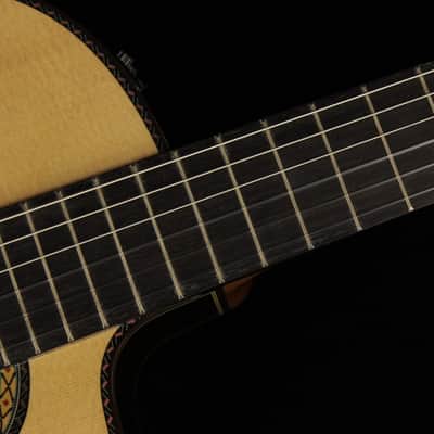 Takamine TH90 Hirade (#973) image 6