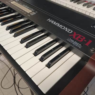 Immagine Hammond XB-1 - 15