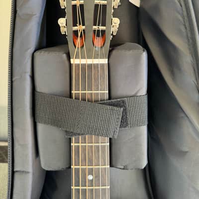 Eastman E1P-LTD-CLA “The Bluesmaster” Limited Edition Parlor Guitar 2024 image 16