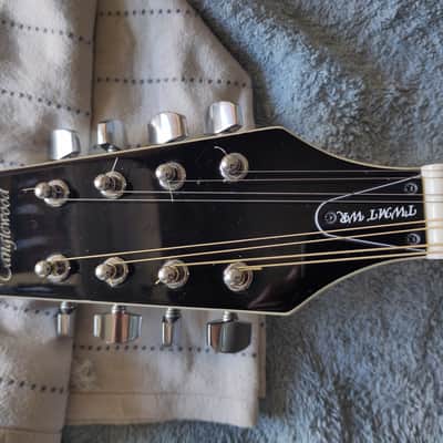 Tanglewood TWM-T-WR Union Mandolin - red image 2