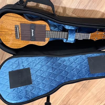 Kiwaya Kpt-1M/E Tenor Ukulele W Reunion Blues Case image 21