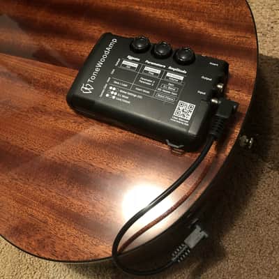 HONZ Tech ToneWood Amp for Acoustic Guitar image 3