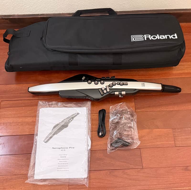 Roland AE-30 Aerophone Pro Digital Wind Instrument 2020 - Present - Silver