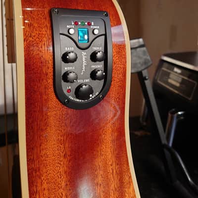 Washburn D10SCE 2020s - Natural - Price Reduced image 12