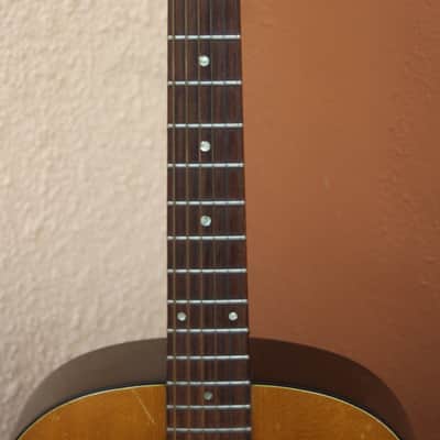 Gibson B20 1971 Natural image 9