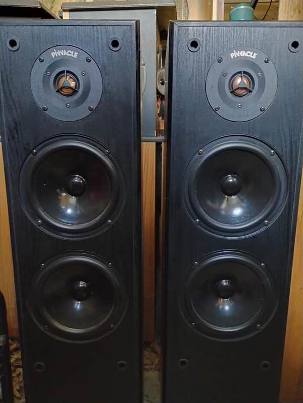 Pinnacle Classic Gold Reference speakers in excellent condition - 2000's image 1