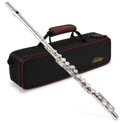 Closed Hole C Flute 16 Key - Nickel Flute Set With Carrying Case image 2
