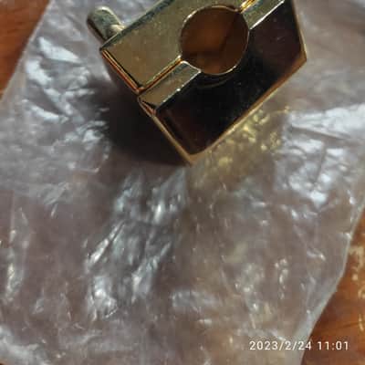 DW tb gold image 2
