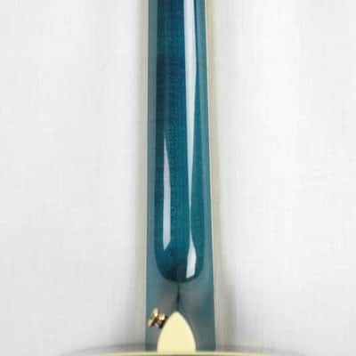 MINT 2000 Taylor GSLJ Living Jewels Aqua Blue Koi Fish Guitar! Bearclaw Quilted GS image 22