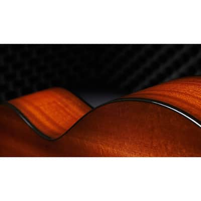 Taylor 50th Anniv. 314ce LTD Grand Auditorium Sapele/Torrefied Spruce Acoustic Electric Guitar image 11