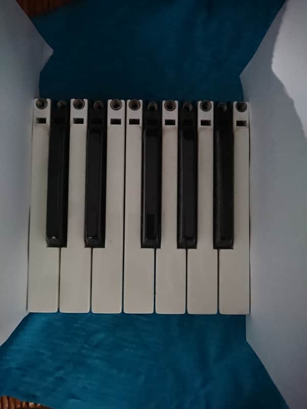 Korg Karma full octave keys image 1