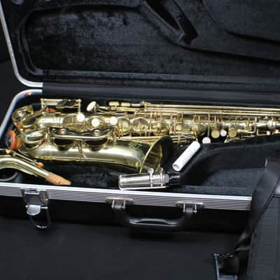 Sky Alto Saxophone Complete & in it's Original Case 3 S image 1