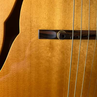 Mark Campellone Standard 17" Archtop Biltoft Pickup image 6