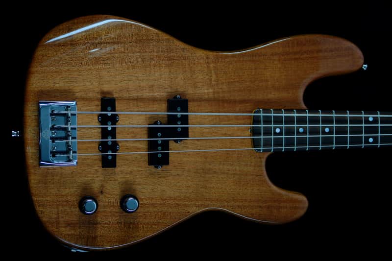 Fender Custom Shop Artisan Postmodern Bass PJ 2016 Tasmanian Blackwood image 1