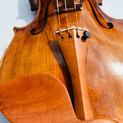 Giuseppe Fiorini Da Bologna Fece in Roma Italian Labeled Violin image 18