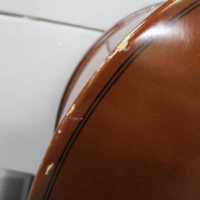 Knilling Sinfonia Cello image 19