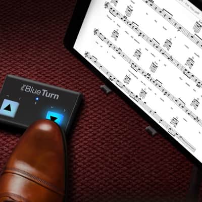 IK-Multimedia iRig BlueTurn image 4