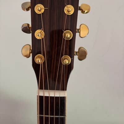 Zager 900CE Aura/N 2022 - Natural image 9