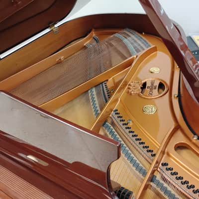 Schimmel Grand Piano LTD Nikolaus Schimmel image 5