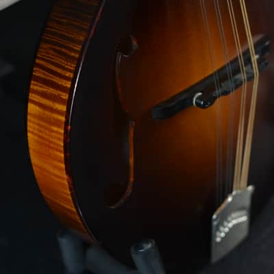 Collings MT Mandolin Left Handed 2014 - Sunburst image 16