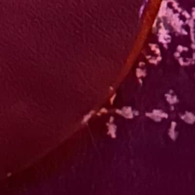 Gibson Les Paul 1989 - Cherry Sunburst image 20